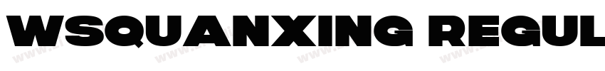 WSQuanXing Regular G字体转换 WSQuanXing Regular G字体转换